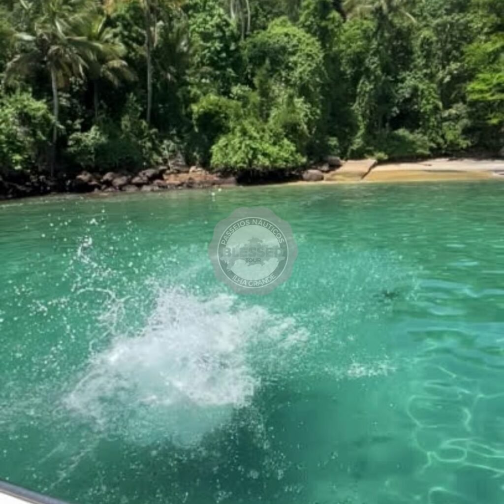 Passeio de Lancha Angra Ilha Grande Blessed Passeios Náuticos
